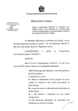 Resolução nº 313-2019.pdf